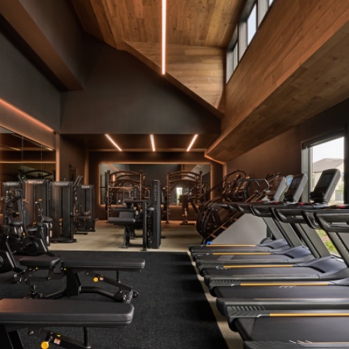 gym with cardio, rowing and weights in Princeton near McKinney
